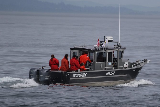 Victoria Ultimate Marine Whale & Wildlife Tour - How the crew’s training turns sightings into understanding