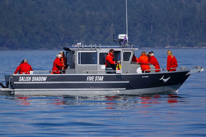 Victoria Ultimate Marine Whale & Wildlife Tour - Who should book this whale tour (and who might want to adjust expectations)