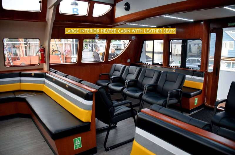 Victoria: Whale and Wildlife Semi-Covered Boating Tour - Catamaran Comfort From 1 Dallas Rd: Indoor warmth, outdoor decks, and a real washroom