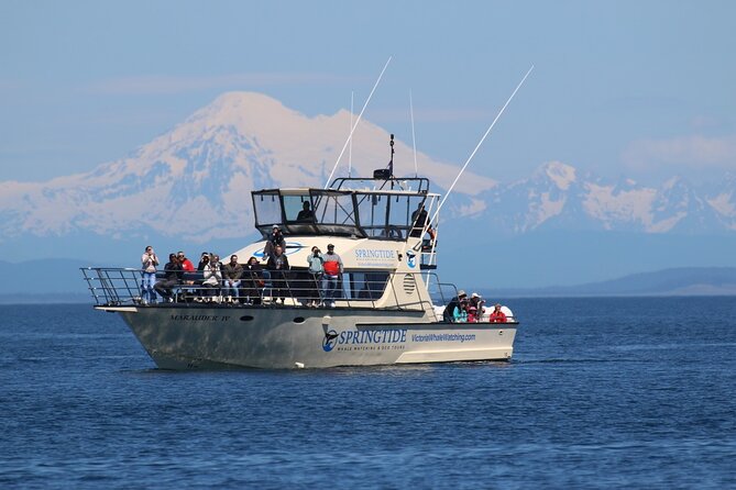 Victoria Whale Watch Tour - Quick hits before you go