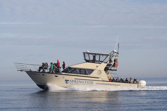 Victoria Whale Watch Tour - The boat setup: top deck views versus the heated cabin
