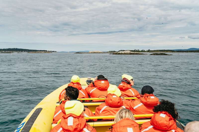 Victoria: Whale Watching Adventure in a Zodiac Boat - From Prince of Whales to the Zodiac: the flow that keeps things smooth