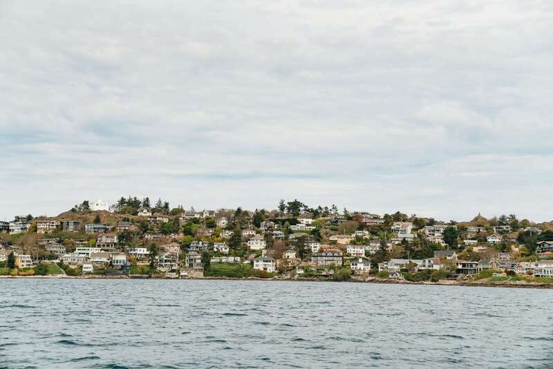 Victoria: Whale Watching Adventure in a Zodiac Boat - What you may see off Vancouver Island’s coast