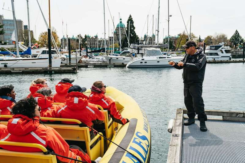 Victoria: Whale Watching Adventure in a Zodiac Boat - Why the Zodiac ride feels like the point (even before you see whales)