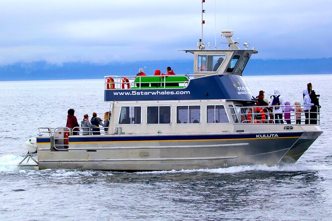 Victoria Whale Watching Cruise with Expert Naturalists - Key Things That Make This Whale Watch Worth Your Time