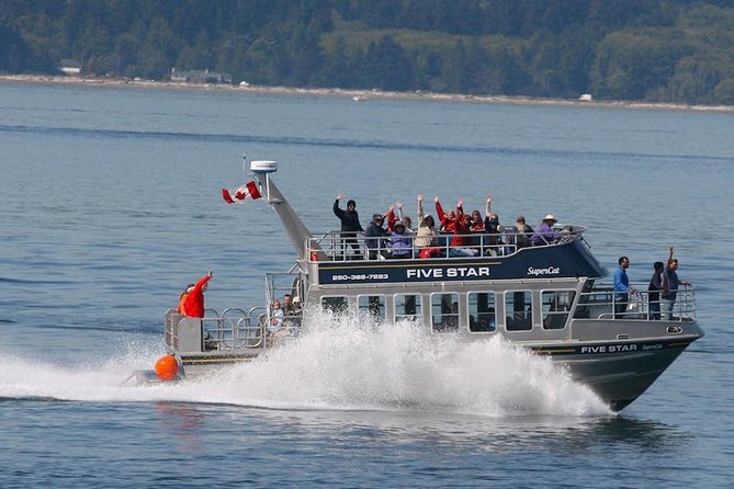 Victoria Whale Watching Cruise with Expert Naturalists - Price and Time: Is $134.02 a Good Deal?
