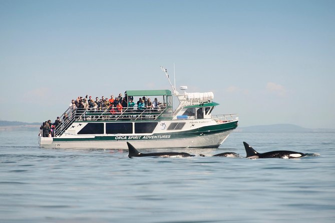 Victoria Whale Watching Tour on a Covered Vessel - Quick take: what stands out most