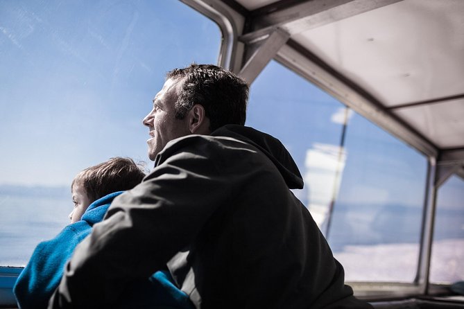 Victoria Whale Watching Tour on a Covered Vessel - Your wildlife odds: what the crew is aiming for
