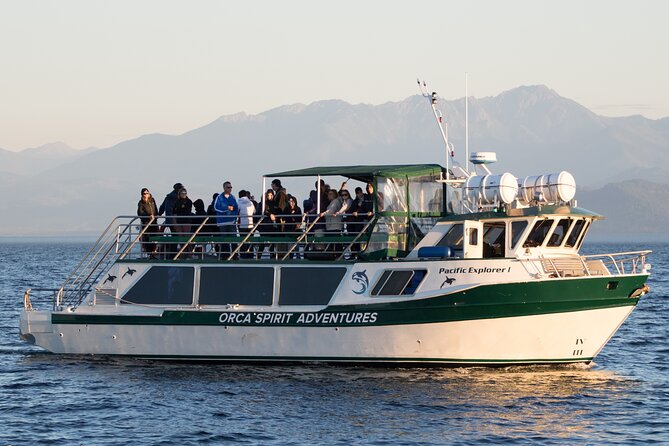 Victoria Whale Watching Tour on a Covered Vessel - Species you might see (and how the guides help you spot them)