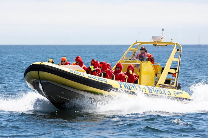 Victoria Zodiac Boat Whale Watching Adventure - Scheduling and weather: why “subject to conditions” is part of the bargain