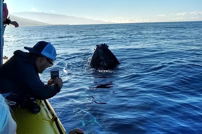 VIP (12 Guests ONLY) Ultimate Whale Watch - Staying comfortable: dressing for spray and wind