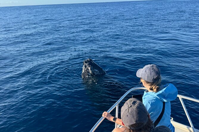 VIP Premiere Whale Watch Kaanapali Beach MAX 12 PASSENGERS - VIP Premiere Whale Watch: Why This Kaanapali Boat Trip Feels Different