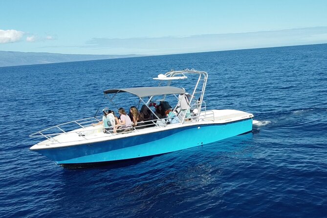 VIP Premiere Whale Watch Kaanapali Beach MAX 12 PASSENGERS - Getting to the Boat at 2435 Kaanapali Pkwy (And What to Expect On Arrival)