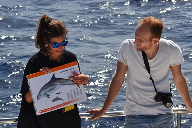 VipDolphins Luxury Whale Watching - Setting sail from Funchal: why the 3-hour format works
