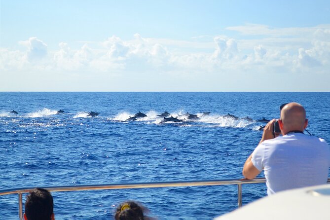 VipDolphins Luxury Whale Watching - Onboard food and drinks: real value for the price