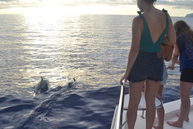 VipDolphins Luxury Whale Watching - Cabo Girao swim and snorkeling: the highlight break (with one warning)