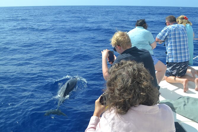 VipDolphins Luxury Whale Watching - The crew’s approach: why service feels personal