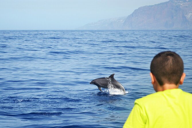 VipDolphins Luxury Whale Watching - Practical tips for a smoother experience