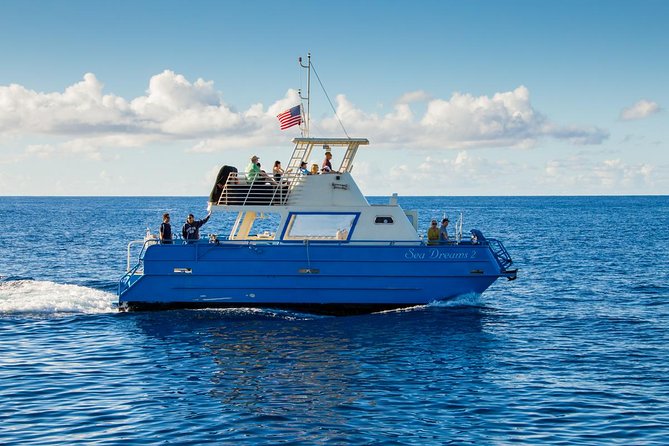 Waikiki Deluxe Catamaran Whale Watch - When the Sea Gets Rough: Motion, Weather, and Smart Packing