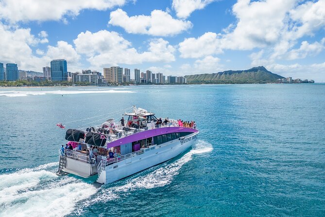 Waikiki, Oahu 2-Hour Whale Watching: Guaranteed Sightings - Two hours on the water: what your cruise feels like