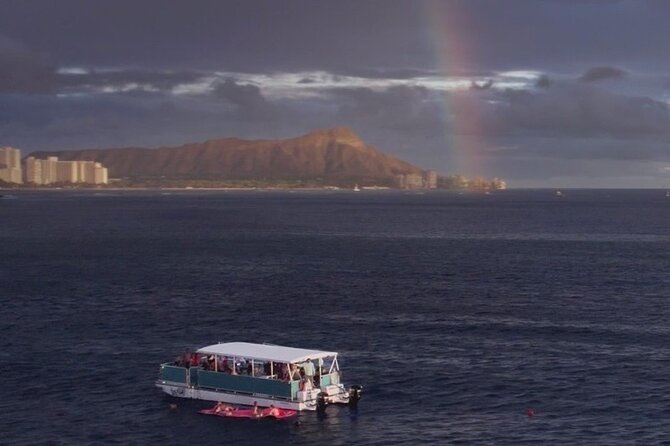 Waikiki Whale Watching Cruise - Key things I’d pay attention to