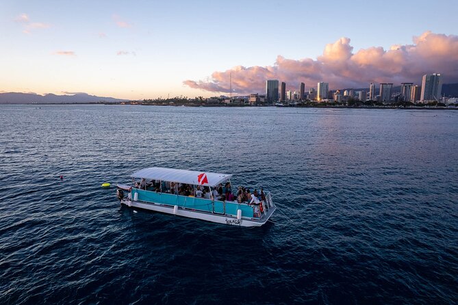 Waikiki Whale Watching Cruise - Meeting point on Ala Moana: easy to find, near public transit