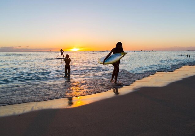 Waikiki Whale Watching Cruise with Snack & Trolley Transportation - Key highlights to look for