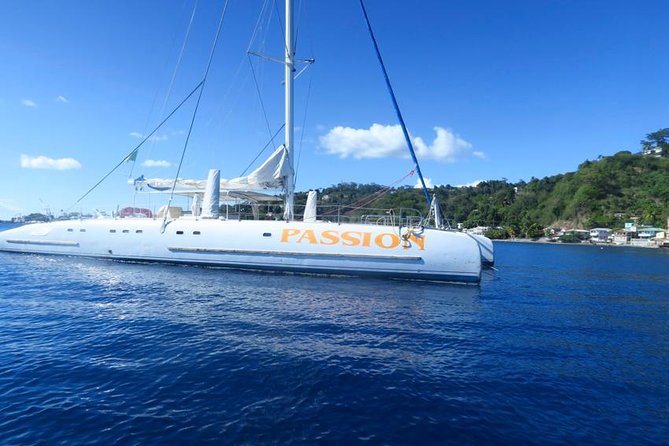 Waitukubuli Dolphin and Whale Watch in Dominica - Getting wet, staying safe, and not cooking on deck