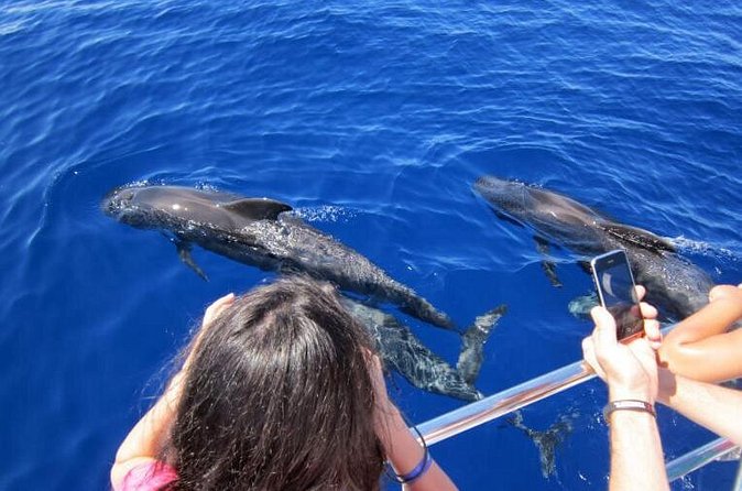 Waitukubuli Dolphin and Whale Watch in Dominica - Drinks and rum punch: the included perk that feels like a local wink