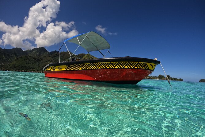 Watch and Swim with Humpback Whales in Moorea - What’s included vs. what you’ll need to bring