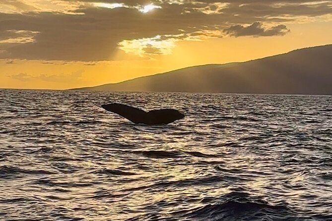 West Maui Sunset Whale Watch - Sunset views over Maui’s neighboring islands: the second half of the magic