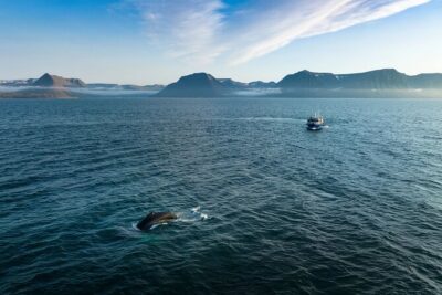 Westfjords Whale Watching - The onboard setup: restroom, air-conditioned comfort, and real viewing space