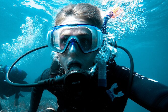 Whale and Dive Combo Tour in Los Cabos - The 6:30 am start and meeting point game plan (so you’re not rushing)