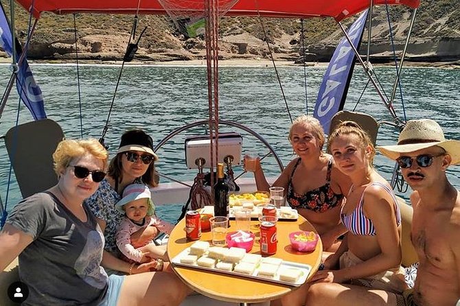 Whale and Dolphin Small Group Sailing from Tenerife South - Key highlights that matter in real life
