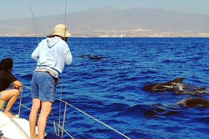 Whale and Dolphin Small Group Sailing from Tenerife South - A Small-Boat Advantage for Whale Watching in Tenerife