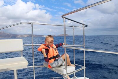 Whale and Dolphin Watching Catamaran with Transfer and Buffet - On board comfort: where you’ll actually want to stand or sit