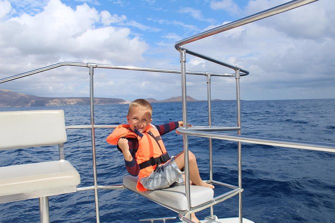 Whale and Dolphin Watching Catamaran with Transfer and Buffet - On board comfort: where you’ll actually want to stand or sit