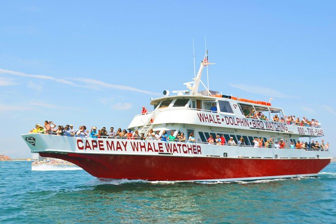 Whale and Dolphin Watching Cruise from Cape May - From Miss Chris Marina to Open Water: The Starting Line
