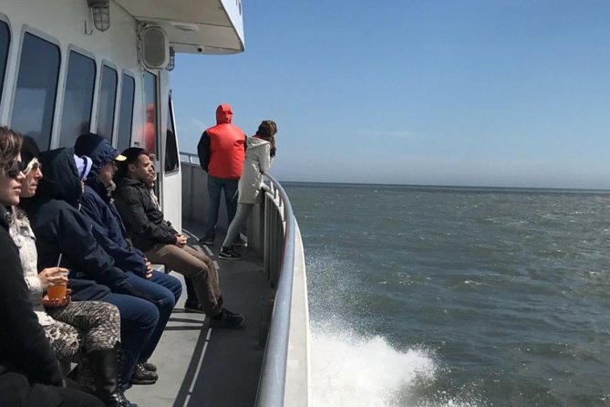Whale and Dolphin Watching Cruise from Cape May - Choppy Water and Sea Sickness: What to Do Before You Get On
