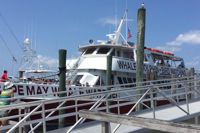 Whale and Dolphin Watching Cruise from Cape May - Family-Friendly Timing and Group Size That Keeps It Comfortable