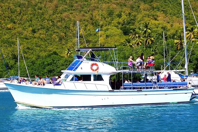 Whale and Dolphin Watching Cruise in St Lucia - Seas, Weather, and Comfort: Plan Like a Smart Person
