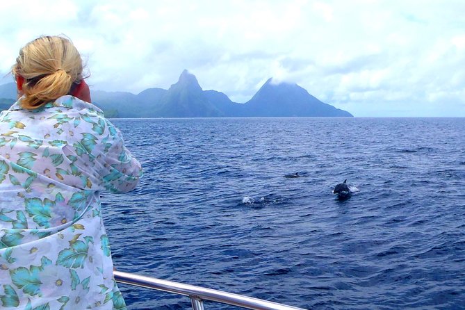 Whale and Dolphin Watching Cruise in St Lucia - Drinks, Snacks, and the Vibe on Board