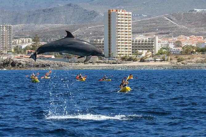 Whale and Dolphin Watching EcoAdventure in Tenerife - Costa Adeje Start Point: Avenida de Colón, Then a Quick Sea-Ready Briefing