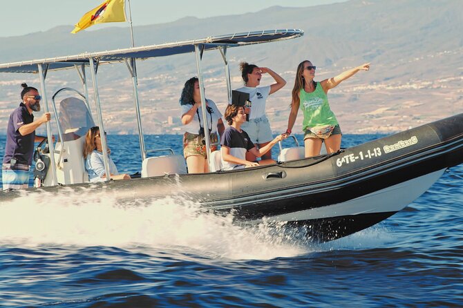 Whale and Dolphin Watching EcoAdventure in Tenerife - Species Chances in Tenerife: Pilot Whales, Dolphins, and Surprise Encounters