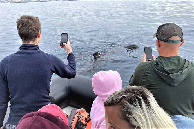 Whale and Dolphin Watching EcoAdventure in Tenerife - Responsible Watching Isn’t a Slogan Here: Marine Litter Collection