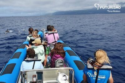 Whale and dolphin watching in Pico Island - What you get right away: briefing, gear, and the guide-led approach