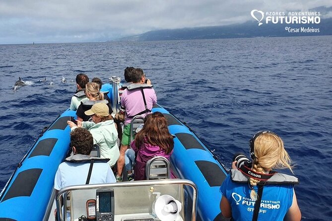 Whale and dolphin watching in Pico Island - What you get right away: briefing, gear, and the guide-led approach