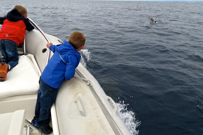 Whale and Dolphin Watching in San Diego - Who’s in charge: USCG-licensed captains with local know-how