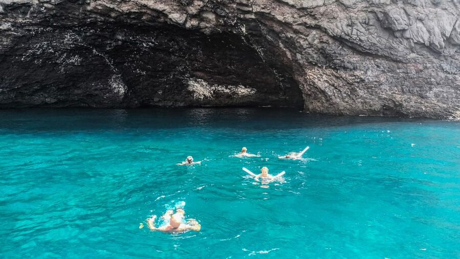 Whale and Dolphin Watching Sailing Tour – Los Gigantes (3H) - Crew and Captain Style: The Antonio and Francesco Factor