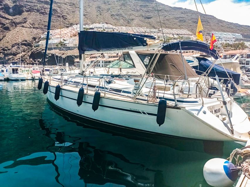 Whale and Dolphin Watching Sailing Tour – Los Gigantes (3H) - Price and Value for a 3-Hour Los Gigantes Whale Tour at $76